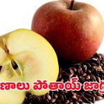 Apple Seeds: నమ్మలేని నిజం.. యాపిల్ విత్తనాలు తింటే ప్రాణానికే ప్రమాదమా?