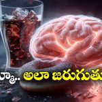 Artificial Sweeteners: ఆర్టిఫీషియల్ స్వీటెనర్లు వాడుతున్నారా? అవి మీ మెదడును ఏం చేస్తాయో తెలుసా?