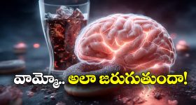 Artificial Sweeteners: ఆర్టిఫీషియల్ స్వీటెనర్లు వాడుతున్నారా? అవి మీ మెదడును ఏం చేస్తాయో తెలుసా?