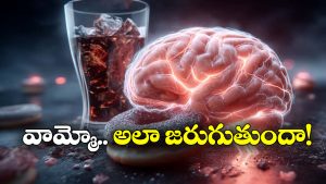 Artificial Sweeteners: ఆర్టిఫీషియల్ స్వీటెనర్లు వాడుతున్నారా? అవి మీ మెదడును ఏం చేస్తాయో తెలుసా?