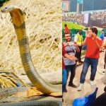 Asia Cup 2025 : బంగ్లా, శ్రీలంక మ్యాచ్ లో నాగిని డ్యాన్స్‌.. వీడియో చూస్తే పిచ్చెక్కిపోవాల్సిందే