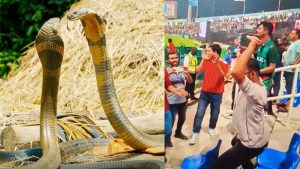 Asia Cup 2025 : బంగ్లా, శ్రీలంక మ్యాచ్ లో నాగిని డ్యాన్స్‌.. వీడియో చూస్తే పిచ్చెక్కిపోవాల్సిందే