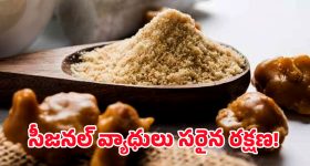 Passport Centre: దేశంలో తొలిసారిగా మెట్రో స్టేషన్‌లో పాస్ పోర్ట్ సెంటర్.. ఎక్కడో తెలుసా?
