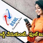 BSNL Best Plan: రూ.225 ప్లాన్‌లో దుమ్మురేపే ఆఫర్లు.. డేటా, కాల్స్, SMSలతో ఫుల్ ఎంజాయ్