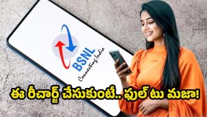 BSNL Best Plan: రూ.225 ప్లాన్‌లో దుమ్మురేపే ఆఫర్లు.. డేటా, కాల్స్, SMSలతో ఫుల్ ఎంజాయ్