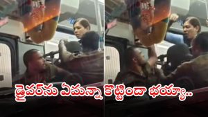 Viral video: బస్సు డ్రైవర్, మహిళ రప్పా రప్పా కొట్టుకున్నారు భయ్యా.. వీడయో వైరల్