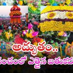 Bathukamma Festival: మన హైదరాబాద్‌లో ప్రపంచంలోనే అతిఎత్తైన బతుకమ్మ.. రెండు కళ్లు సరిపోవు..