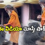 Bear viral video: అడవి మృగాలు కూడా మిత్రులవుతాయా? సోషల్ మీడియాలో వీడియో వైరల్!