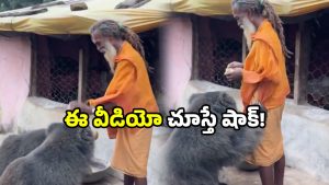 Bear viral video: అడవి మృగాలు కూడా మిత్రులవుతాయా? సోషల్ మీడియాలో వీడియో వైరల్!