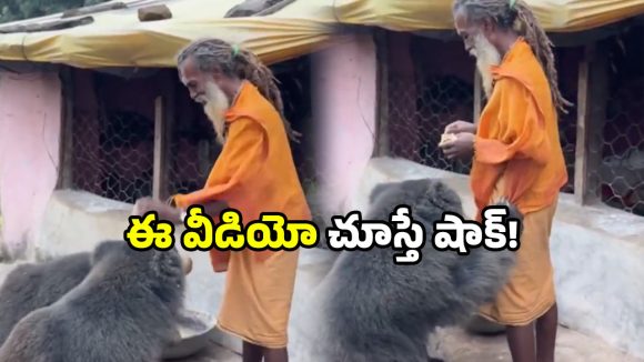 Bear viral video: అడవి మృగాలు కూడా మిత్రులవుతాయా? సోషల్ మీడియాలో వీడియో వైరల్!