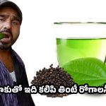 Betel Leaves: తమలపాకులో మిరియాల పౌడర్.. ఒక్క నెల పాటిస్తే ఆరోగ్యం మీ సొంతం