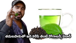 Betel Leaves: తమలపాకులో మిరియాల పౌడర్.. ఒక్క నెల పాటిస్తే ఆరోగ్యం మీ సొంతం