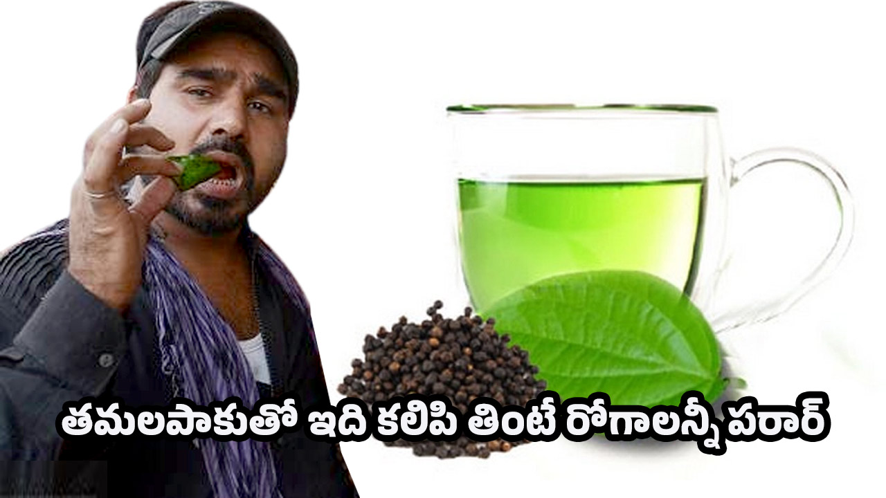 Betel Leaves: తమలపాకులో మిరియాల పౌడర్.. ఒక్క నెల పాటిస్తే ఆరోగ్యం మీ సొంతం