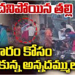 Brothers Fight: తల్లి ఆస్తి కోసం తన్నుకున్న అన్నదమ్ములు.. తీవ్ర గాయాలు