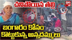 Brothers Fight: తల్లి ఆస్తి కోసం తన్నుకున్న అన్నదమ్ములు.. తీవ్ర గాయాలు