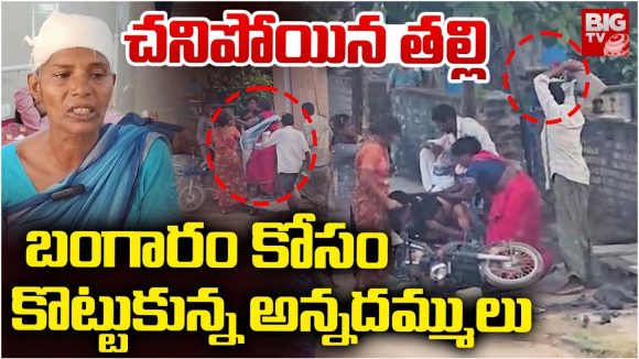 Brothers Fight: తల్లి ఆస్తి కోసం తన్నుకున్న అన్నదమ్ములు.. తీవ్ర గాయాలు