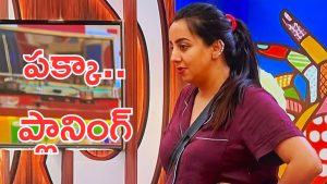 Bigg Boss 9 Sanjana : సంజనా ఓ కట్లపాము.. ఓ నాగుపాము… మూడు రోజుల్లో ఆమెలో ఇది గమనించారా ?