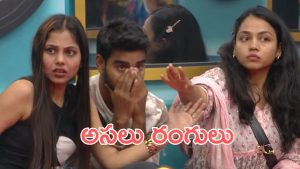 Bigg Boss 9 Promo : రంగుపడుద్ది టాస్క్, మొత్తానికి కామనర్స్, ఓనర్స్ అనే రంగులు బయటపడ్డాయి 