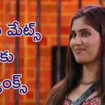Bigg Boss 9: హౌస్ మేట్స్ క్యారెక్టర్స్ బయటపెట్టిన దివ్య, అందరినీ పకడ్బందీగా అబ్జర్వ్ చేసింది