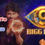 Bigg Boss 9 : ఫ్యూజ్ లు ఎగిరిపోయే వార్నింగ్ లు, సరికొత్త టాస్కులు, మరికొన్ని ట్విస్టులు 