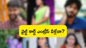 Bigg Boss 9 wildcard : వైల్డ్ కార్డు కంటెస్టెంట్స్ వీళ్లే.. ఇక హౌస్‌లో రచ్చ రచ్చే!
