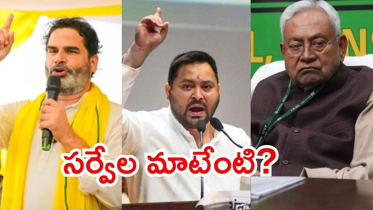 Bihar News: బీహార్ ప్రీ-పోల్ సర్వే.. మహా కూటమికి అనుకూలం, ఎన్డీయే కష్టాలు? చివరలో ఏమైనా జరగొచ్చు
