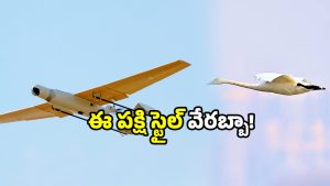 Bird landing video: పైలట్లకు స్పెషల్ క్లాస్ చెప్పిన పక్షి.. వీడియోను పోస్ట్ చేసిన హైదరాబాద్ సీపీ!