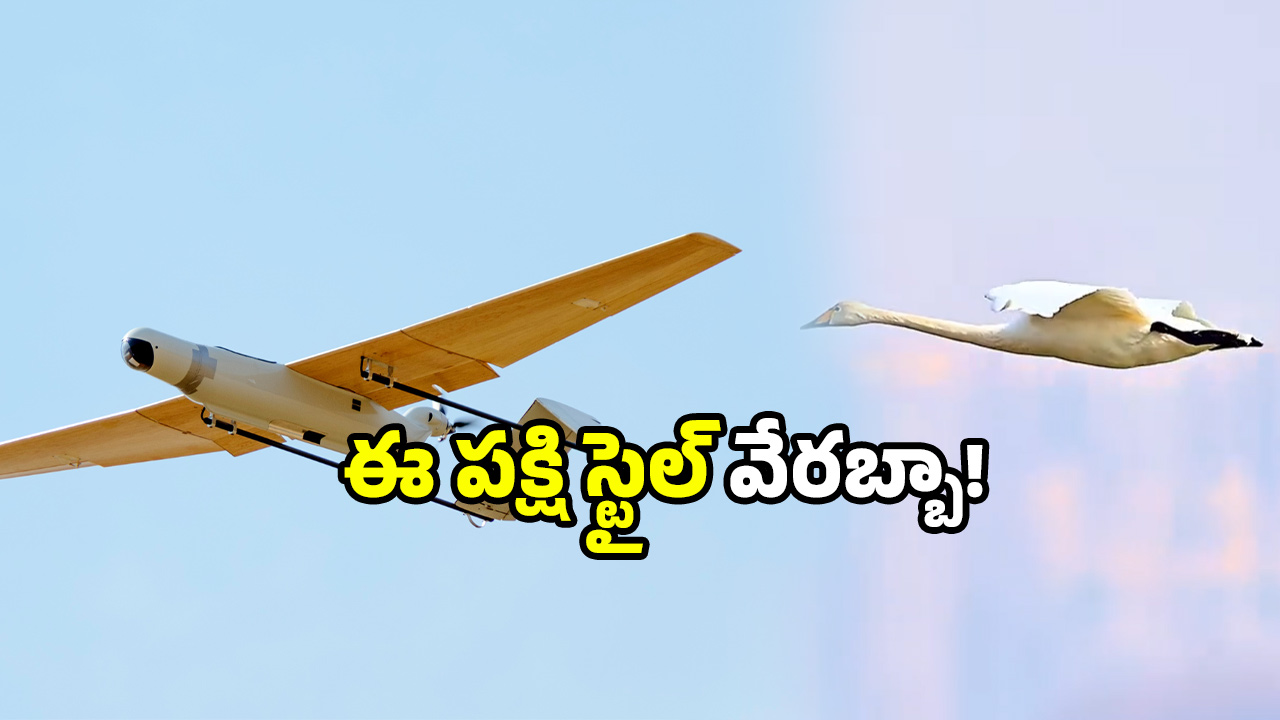 Bird landing video: పైలట్లకు స్పెషల్ క్లాస్ చెప్పిన పక్షి.. వీడియోను పోస్ట్ చేసిన హైదరాబాద్ సీపీ!