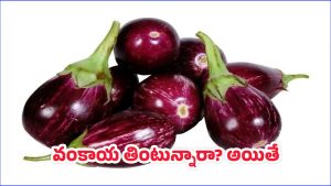 Brinjal Benefits: వంకాయ తింటే ఏం జరుగుతుంది? ఆరోగ్యానికి..!