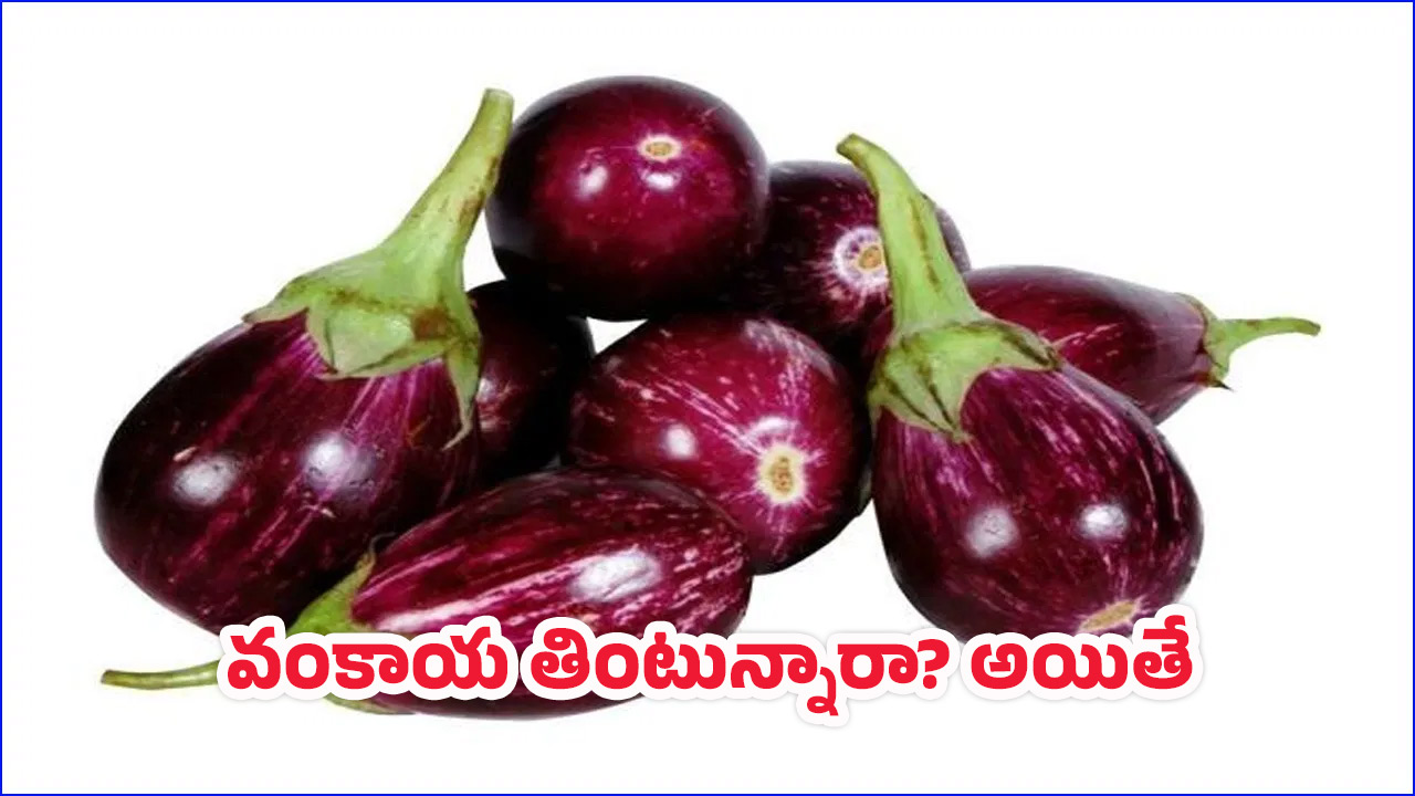 Brinjal Benefits: వంకాయ తింటే ఏం జరుగుతుంది? ఆరోగ్యానికి..!
