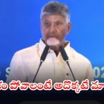 CM Chandrababu: ఏపీని 2.4 ట్రిలియన్ డాలర్ల ఆర్దిక వ్యవస్థగా తీర్చిదిద్దడమే స్వర్ణాంధ్ర లక్ష్యం: సీఎం చంద్రబాబు