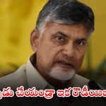 CM Chandrababu: మీ ఇంటికి వచ్చి ఓ వస్తువు ఇస్తారు.. మీ చెత్త వారికి ఇవ్వండి.. సీఎం చంద్రబాబు గుడ్ న్యూస్
