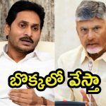 CM Chandrababu: దుష్ప్రచారం చేస్తే జైలే.. సీఎం చంద్రబాబు వార్నింగ్