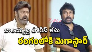 Chiru vs Balayya : బాలయ్యపై మెగా ఫ్యాన్స్ వార్… 300 పోలీస్ స్టేషన్లల్లో కేసు ?