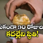 Panipuri: పానీ పూరి తిని.. ప్రాణాల మీదకు తెచ్చుకున్నాడు.. హైదరాబాద్ యువకుడికి భయానక అనుభవం!