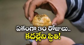 Watch Video : పూజ‌లు మానేసి...క్రికెట్ లోకి వ‌చ్చేస్తున్న పూజార్లు...సిక్సుల‌తో దుమ్ములేపారు !
