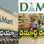 DMart Record: గంటకు రూ. 2.7 లక్షల అమ్మకాలు, ఏడాదికి రూ. 49 వేల కోట్ల ఆదాయం!