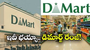 DMart Record: గంటకు రూ. 2.7 లక్షల అమ్మకాలు, ఏడాదికి రూ. 49 వేల కోట్ల ఆదాయం!