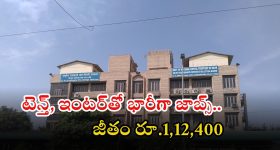DSSSB Recruitment: ఢిల్లీ సబార్డినేట్ సర్వీసెస్‌లో 1180 ఉద్యోగాలు.. టెన్త్, ఇంటర్ పాసైతే చాలు.. జీతం లక్షకు పైనే..