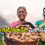 Deepam-2 Scheme: ఏపీ గిరిజనులకు బంపర్ గిఫ్ట్.. చిన్న సిలిండర్‌కు గుడ్‌బై.. పెద్ద సిలిండర్‌తో ఫుల్ లాభం!