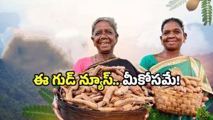 Deepam-2 Scheme: ఏపీ గిరిజనులకు బంపర్ గిఫ్ట్.. చిన్న సిలిండర్‌కు గుడ్‌బై.. పెద్ద సిలిండర్‌తో ఫుల్ లాభం!