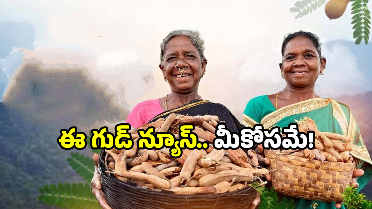 Deepam-2 Scheme: ఏపీ గిరిజనులకు బంపర్ గిఫ్ట్.. చిన్న సిలిండర్‌కు గుడ్‌బై.. పెద్ద సిలిండర్‌తో ఫుల్ లాభం!