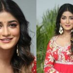 Dimple Hayathi: వివాదంలో  డింపుల్ హయతి… రహస్యంగా పెళ్లి కూడా చేసుకుందా?