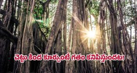 Smallest Railway Station: ఇండియాలోనే అతి చిన్న ప్లాట్‌ఫాం కలిగిన రైల్వే స్టేషన్ ఇదే.. అంత చిన్నదా?