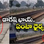 Viral Video: వేగంగా వస్తున్న.. వందే భారత్ ముందుకు దూకిన కుక్క.. తర్వాత జరిగింది ఇదే!