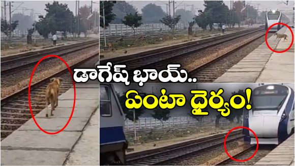 Viral Video: వేగంగా వస్తున్న.. వందే భారత్ ముందుకు దూకిన కుక్క.. తర్వాత జరిగింది ఇదే!