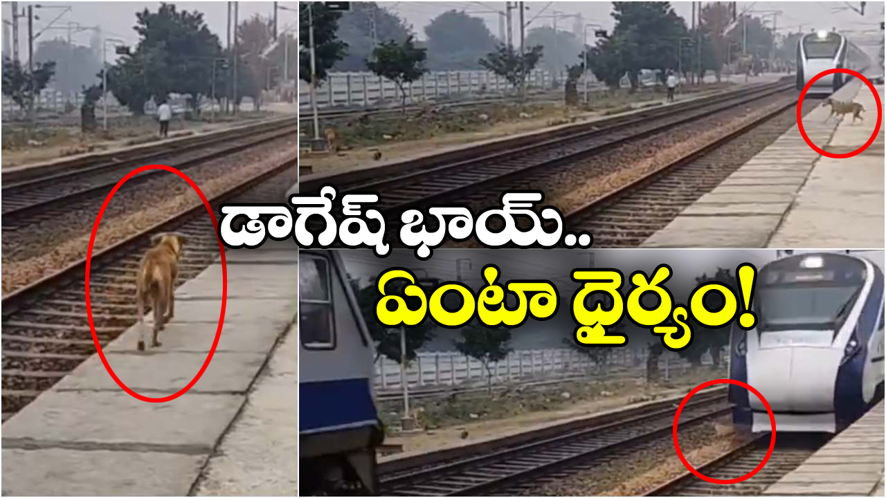 Viral Video: వేగంగా వస్తున్న.. వందే భారత్ ముందుకు దూకిన కుక్క.. తర్వాత జరిగింది ఇదే!
