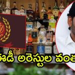 AP Liquor Case: ఏపీ లిక్కర్ కేసు.. వచ్చేవారం ఈడీ అరెస్టులు? నేరుగా తీహార్‌ జైలుకే?