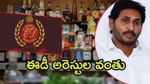 AP Liquor Case: ఏపీ లిక్కర్ కేసు.. వచ్చేవారం ఈడీ అరెస్టులు? నేరుగా తీహార్‌ జైలుకే?