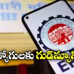 EPFO Passbook Lite: EPFO కీలక నిర్ణయం, ఒకే క్లిక్ తో పీఎఫ్ సెటిల్మెంట్!